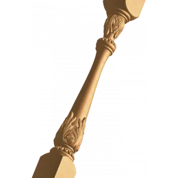 Аврора