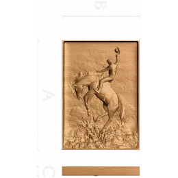 Дикая выездка