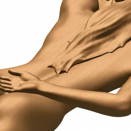 Элегия спины