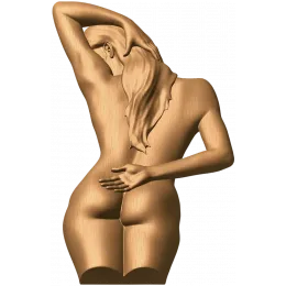 Элегия спины