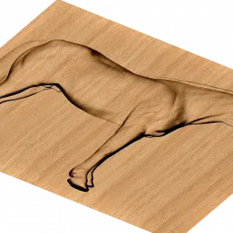 Скакун