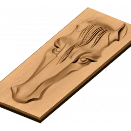 Грация коня
