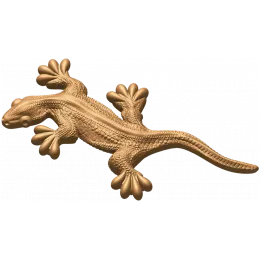 Геккон Грация