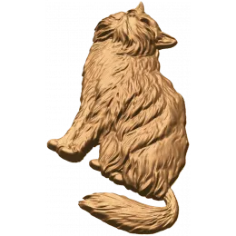Пушистый кот