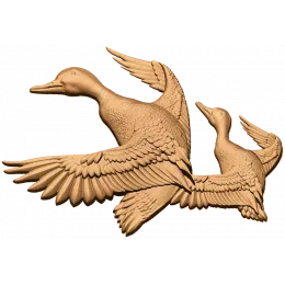 Крылатая пара