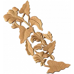Ирисовая лиана