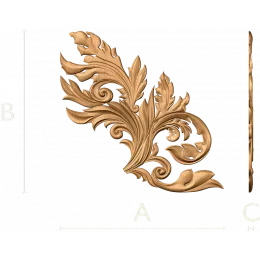 Ветвь Ренессанса