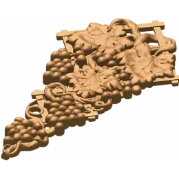 Ампельная лоза