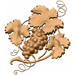 Виноградная лоза