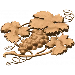 Виноградная лоза