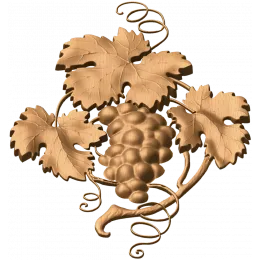 Виноградная лоза