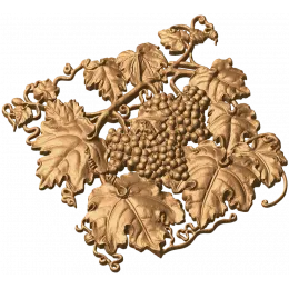 Виноградная лоза