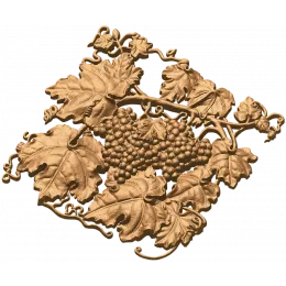 Виноградная лоза