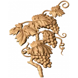 Виноградная лоза