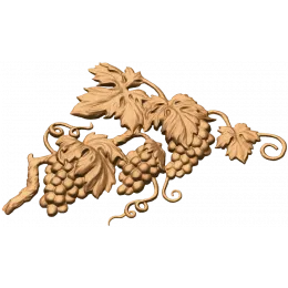 Виноградная лоза