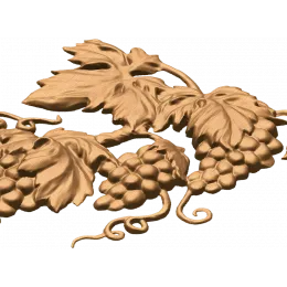 Виноградная лоза