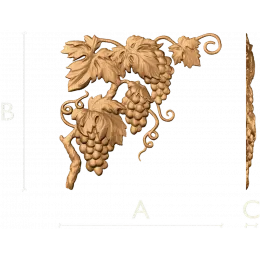 Виноградная лоза
