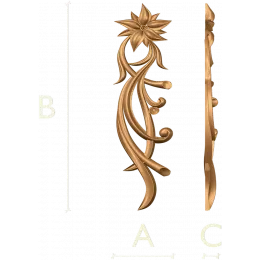 Астра Витая