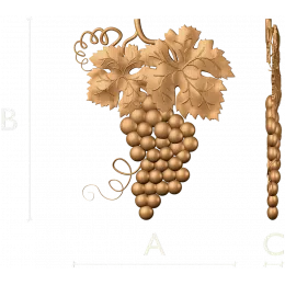 Ампелла