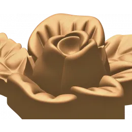 Роза в листьях