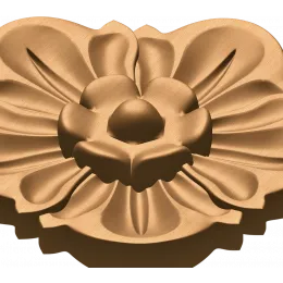 Лотос-пятилистник